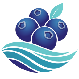 Billy logo